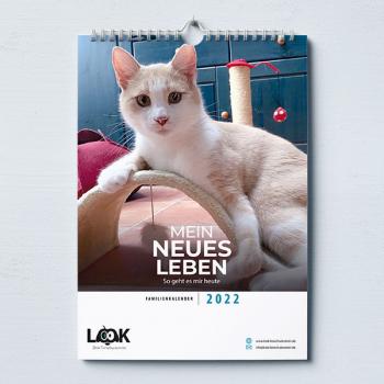 Jahreskalender 2022 - Katzen